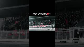 Komiti Skopje vardar skopje ultras macedonia europe hooligansworld balkan football passion [upl. by Neirb]