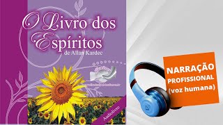 AUDIOBOOK  O LIVRO DOS ESPÍRITOS DE ALLAN KARDEC [upl. by Eladnyl654]