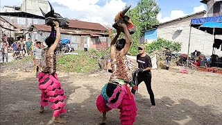 Atraksi Banteng Suro Putra Kembar Feat Barongan Live Di Kisaran Sei Silau Pangkal Titi [upl. by Nicoli]