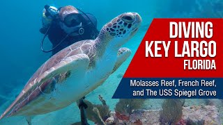 Diving in Florida Molasses Reef French Reef Benwood amp Spiegel Grove dive sites [upl. by Aneelad]