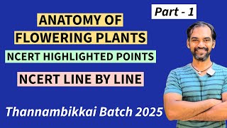 Anatomy of Flowering Plants in Tamil  Part 1  NCERT Line by line  TB 2025 [upl. by Clough628]