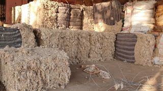 Sheep Wool Market India  Make In India  Shepherd Ka Hausla [upl. by Ahtekal]