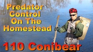 Predator Control on The Homestead 110 conibear [upl. by Pauwles]