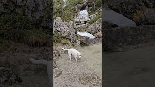 Drinking fountain in Brenta Dolomites [upl. by Noreg]