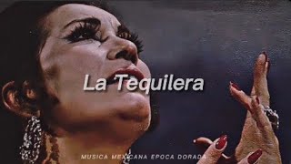 Lola Beltran La Tequilera Letra [upl. by Lemhar968]