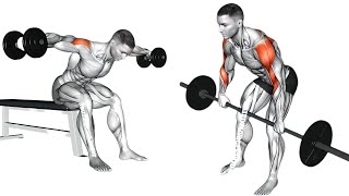 6 AMAZING Rear Delt Exercises For Boulder Shoulders  Rear Delt Exercises [upl. by Enomys]