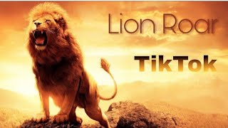 New lion song 2022👑👑Дикая ЛьвицаArtist ALEX  RUS [upl. by Flori]