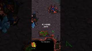 저그part1starcraft terran 스타1 스타크래프트 gaming games retrogaming 테란 zerg 저그 프로토스 protoss [upl. by Gauldin5]