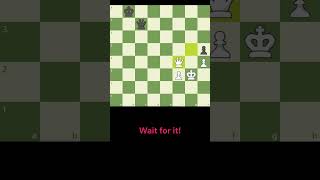 Forced stalemate 🤣🤣  Chess memes chess shorts memes [upl. by Anama]