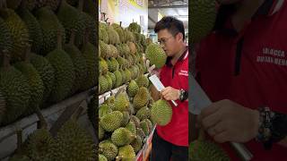 The Most Popular Durian Store in Malacca Malaysia  Fruit Cutting Skills [upl. by Ieso]