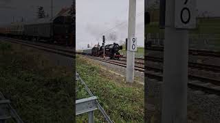 Dampflokomotive 52 81548 aus dem Eisenbahnmuseum LeipzigPlagwitz  trainspotting dampflok train [upl. by Tapes]