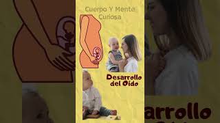 5 CURIOSIDADES DEL DESARROLLO FETAL mentecuriosa anatomia embriologia cuerpohumano desarrollo [upl. by Illom486]