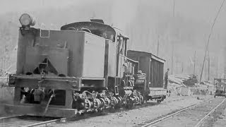 Logging Railway At Horne Lake British Columbia 1929 Educational Documentary WDTVLIVE42  The Best D [upl. by Acirrehs461]