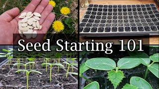 How To Start Vegetable Seeds  The Definitive Guide For Beginners [upl. by Nylsej508]