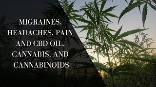 Migraines Headaches Pain And CBD Oil Cannabis And Cannabinoids [upl. by Risteau]