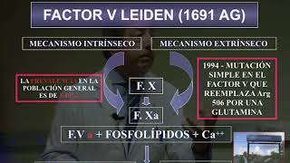 Trombofilia y embarazo [upl. by Yorel]