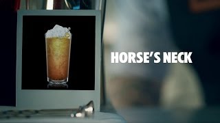 HORSE’S NECK DRINK RECIPE  HOW TO MIX [upl. by Adrea]