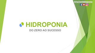 CURSO COMPLETO DE HIDROPONIA  DO ZERO AO SUCESSO [upl. by Aronek193]