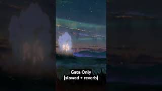 Gata Only slowed  reverb music slowedandreverb slowed gataonly anime [upl. by Anid]