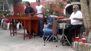 Marimba del sureste que rico el mambo veracruz [upl. by Endres]