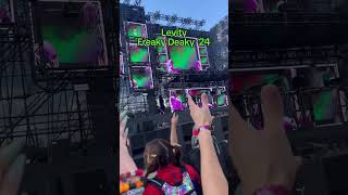 levity festival goodvibes musicfestival 2024 rave viralvideo [upl. by Grizelda]