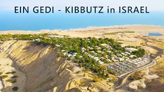 EIN GEDI is a KIBBUTZ on the western shore of the DEAD SEA in Israel [upl. by Atirb]