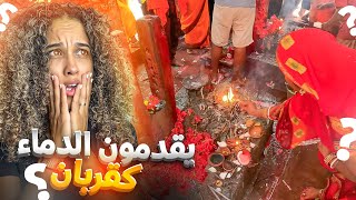 ‎مغربية في الهند دخلت إلى واحد من أغرب المعابد في الهند؟🇮🇳🇲🇦 [upl. by Ormsby]