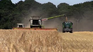 Harvest 2017 Winter barley yields average to good on Suffolk estate [upl. by Radie72]