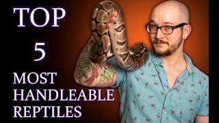 Top 5 MOST HANDLEABLE Reptiles [upl. by Akemal]