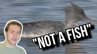 Fish Biologist Reacts To quot10 Craziest Fish Ever Caughtquot [upl. by Revart]