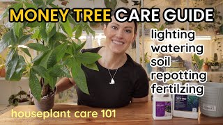 How To Care For Money Tree Plant  Watering Light Soil Repotting amp Fertilize Houseplant Care 101 [upl. by Abehshtab]