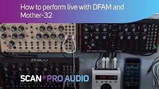 How to play live with Moog DFAM  Mother 32 [upl. by Ronoel]