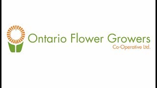 ONTARIO FLOWER GROWERS Client Testimonials [upl. by Averell]