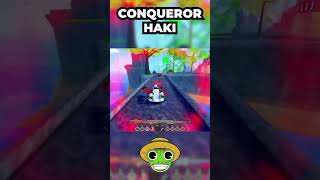 RELL SEAS CONQUERORS HAKI [upl. by Otero]