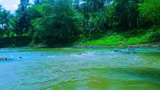 quotPeaceful River Sound Flow  Ideal for Study and Relaxationquot [upl. by Enyak]