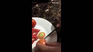 Slice Lycopene Rich Tomatoes for Good Health relaxing satisfying asmr live love happy [upl. by Cirdnek]