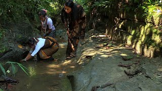 পাহাড়ি ছড়ায় কাঁকড়া ধরা ও রান্না  Panorama Documentary [upl. by Hedvig886]