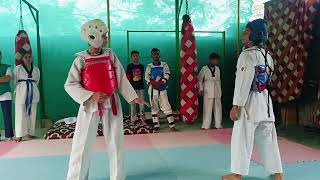 icsf ngo training centre Taekwondo Fight Practice 3 [upl. by Natan]