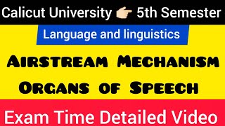 Airstream Mechanism  Language amp Linguistics calicutuniversity 5thsemester💯languageandlinguistics [upl. by Daria]