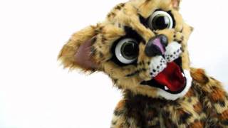 Custom Margay cat puppet animatronic controls [upl. by Attennaej]