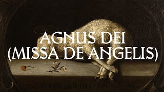 Agnus Dei  Catholic Latin Hymn [upl. by Aerona775]