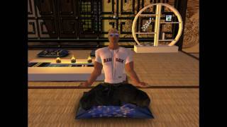 AVATAR MEDITATION [upl. by Golub]