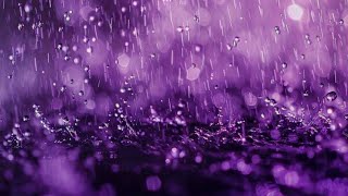 Purple Rain Official Lyric Video [upl. by Bihas]