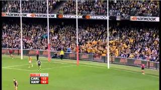 AFL 2011 Round 22 Highlights Carlton V Hawthorn [upl. by Edmond792]