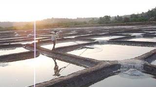 Salt  How it is formed  harvested [upl. by Deyas]