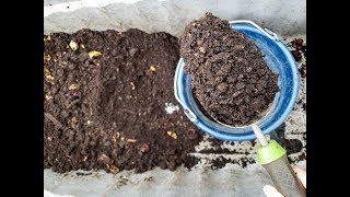 How to Harvest Worm Castings from a Simple Worm Compost Bin [upl. by Larred]