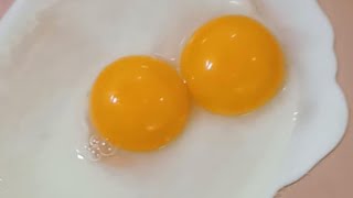 Twins egg yolk [upl. by Atinreb]