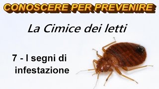 La Cimice dei Letti 7  I segni di infestazione [upl. by Yebba]