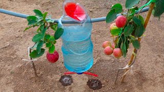 como hacer RIEGO POR GOTEO con botellas de plástico reciclado [upl. by Killarney]