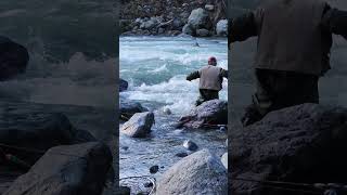 Its not easy to put a really big salmon in a net I ❤️ salmon fishing Vedder river Canada 🇨🇦 33 [upl. by Kiyoshi]